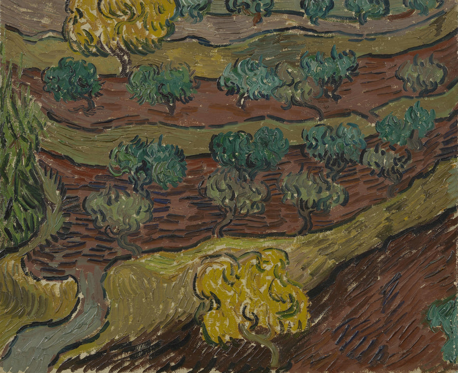 Oliviers sur une colline F716 de Vincent van Gogh, Van Gogh Museum