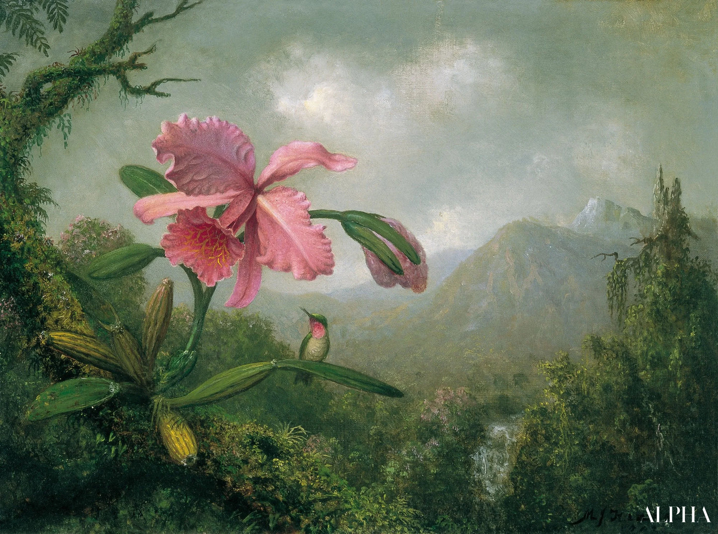 Reproduction du tableau « Orchidée et colibri près d'une cascade de montagne - Martin Johnson Heade » par Alpha Reproduction en peinture à l’huile