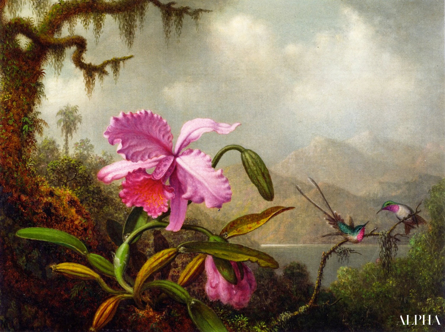 Reproduction du tableau « Orchidées et colibris - Martin Johnson Heade » par Alpha Reproduction en peinture à l’huile