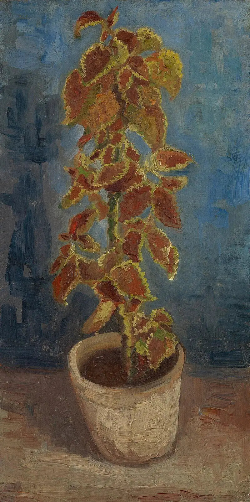 קוצנית בוערת בעציץ - Vincent van Gogh