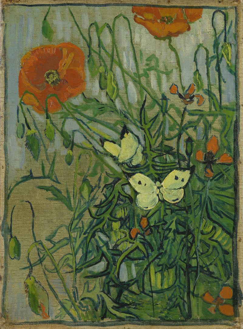 פרפרים ופעמוני שדה - Vincent van Gogh