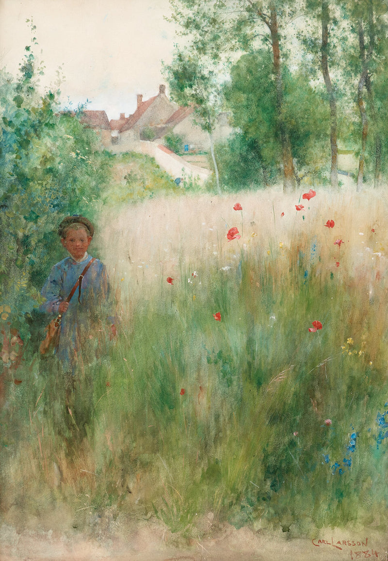 Pavots – Carl Larsson
