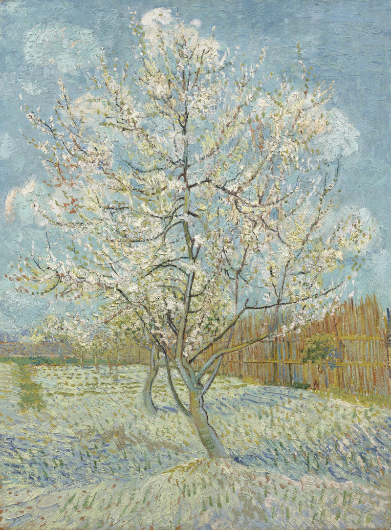 הדובדבן הוורוד - Vincent van Gogh