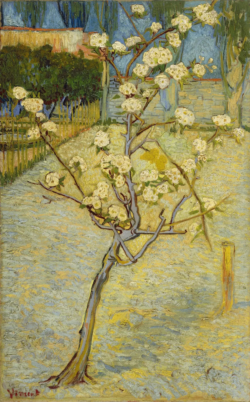 עץ אגס קטן בפריחה - Vincent van Gogh