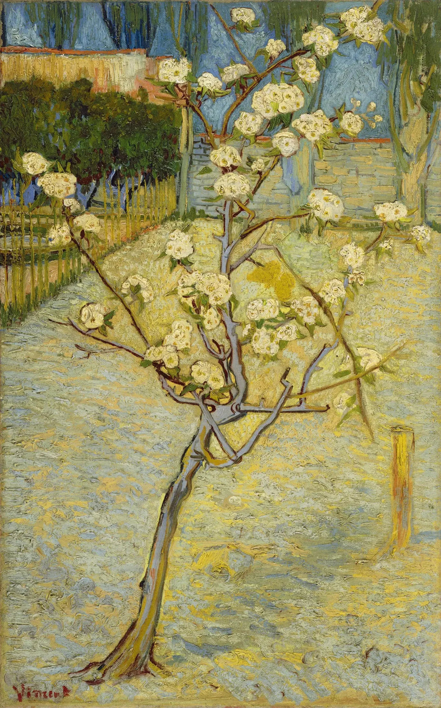 עץ אגס קטן בפריחה - Vincent van Gogh