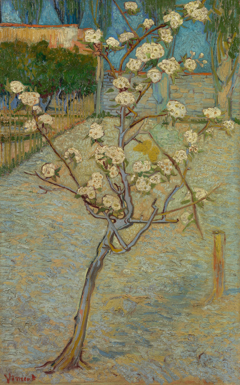 עץ אגס קטן בפריחה - Vincent van Gogh