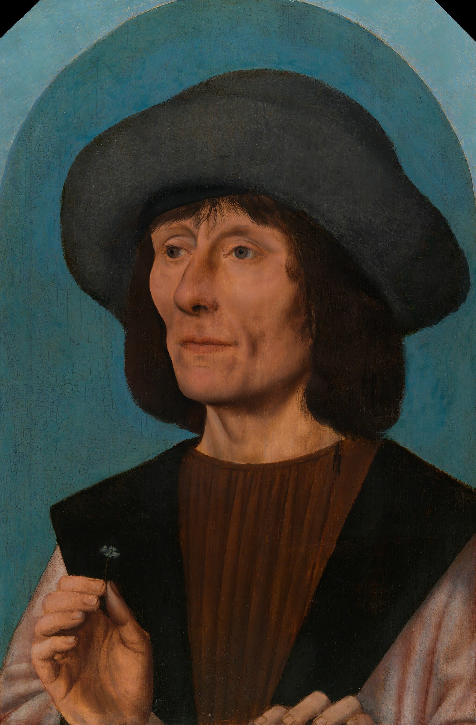 Portrait d’un homme avec un œillet rose - Quentin Metsys - Alpha Reproduction
