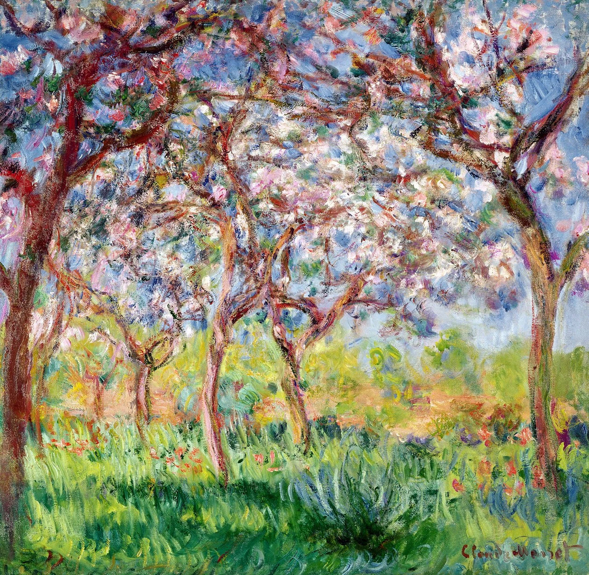 אביב בג'יברני, 1903 - קלוד מונה