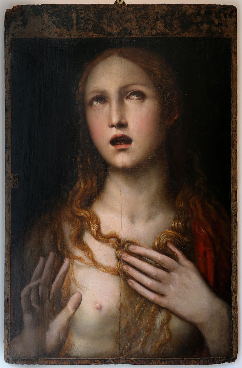 Q117777120 - איל סודומה (ג'ובאני אנטוניו באזי)