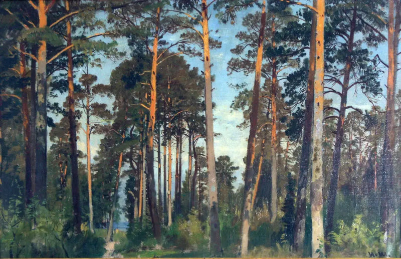 קוד מוצר: Q47537378 - איוון צ'יכין