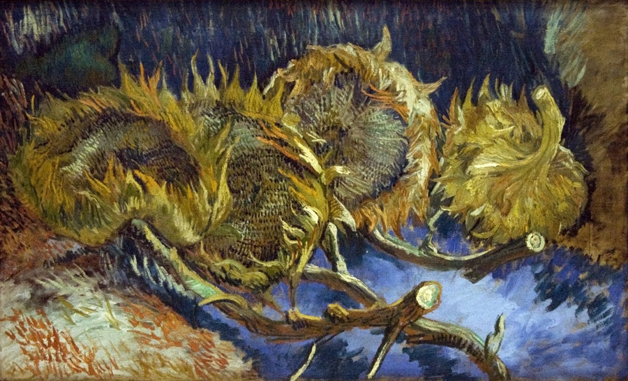 ארבעה חמניות נבולות - Vincent van Gogh