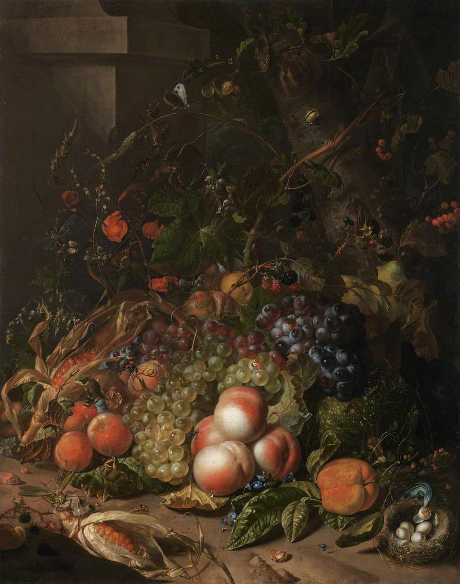 Fruits, nid d’oiseau et insectes, peinture de Rachel Ruysch