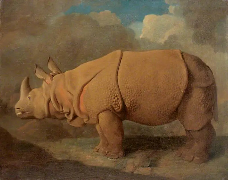 Rhinocéros - George Stubbs - Alpha Reproduction