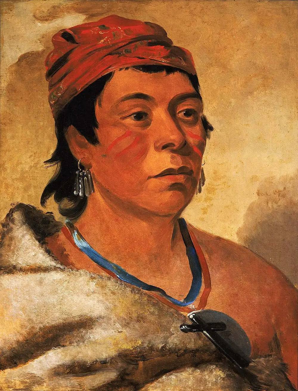 Round Island, un guerrier - George Catlin image 1 reproduction de peinture à l’huile