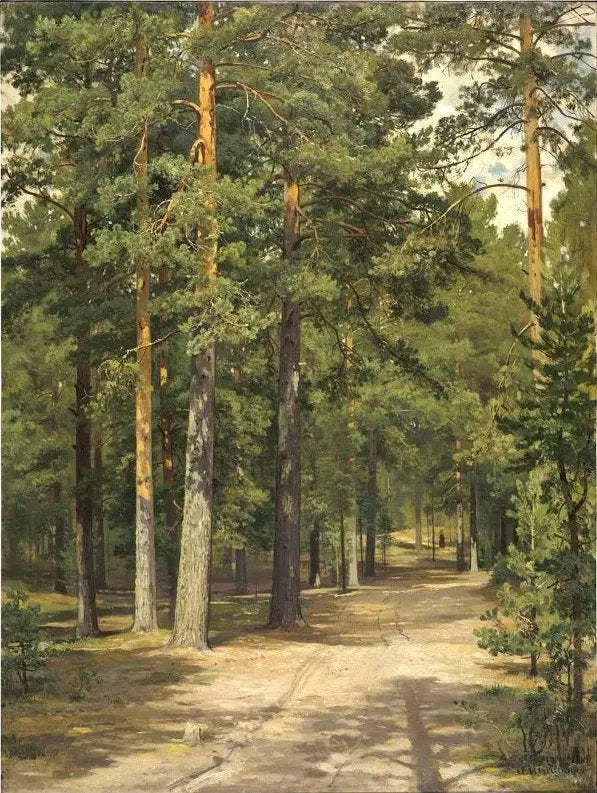 Route dans la forêt de pins - Ivan Chichkine - Alpha Reproduction