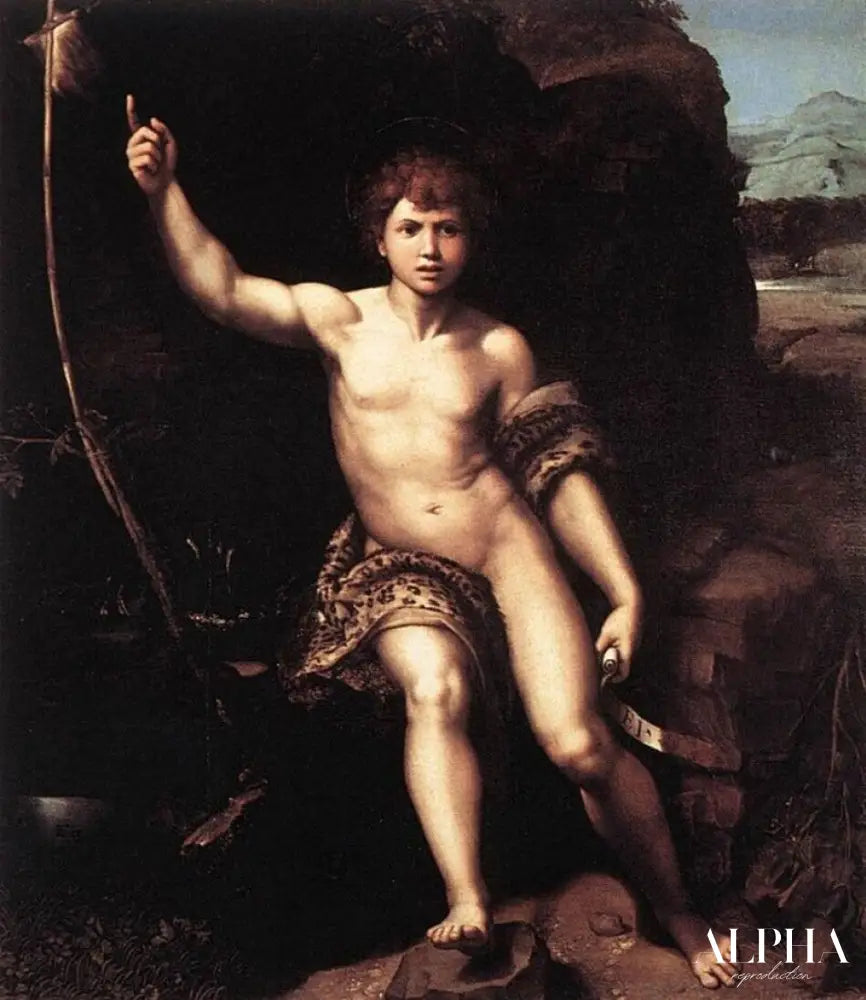 Saint Jean Baptiste - Raphaël (peintre) - Reproductions de tableaux et peintures haut de gamme