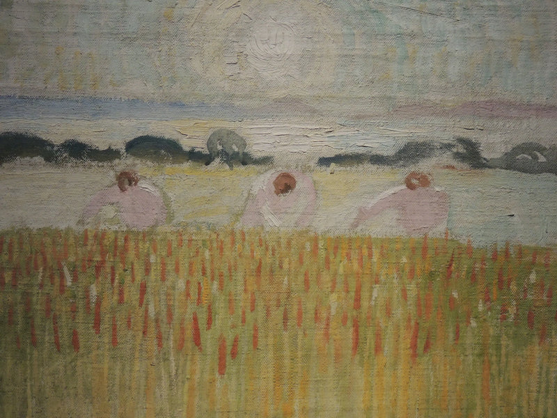 שמש לבן על החטים - מוריס דניס