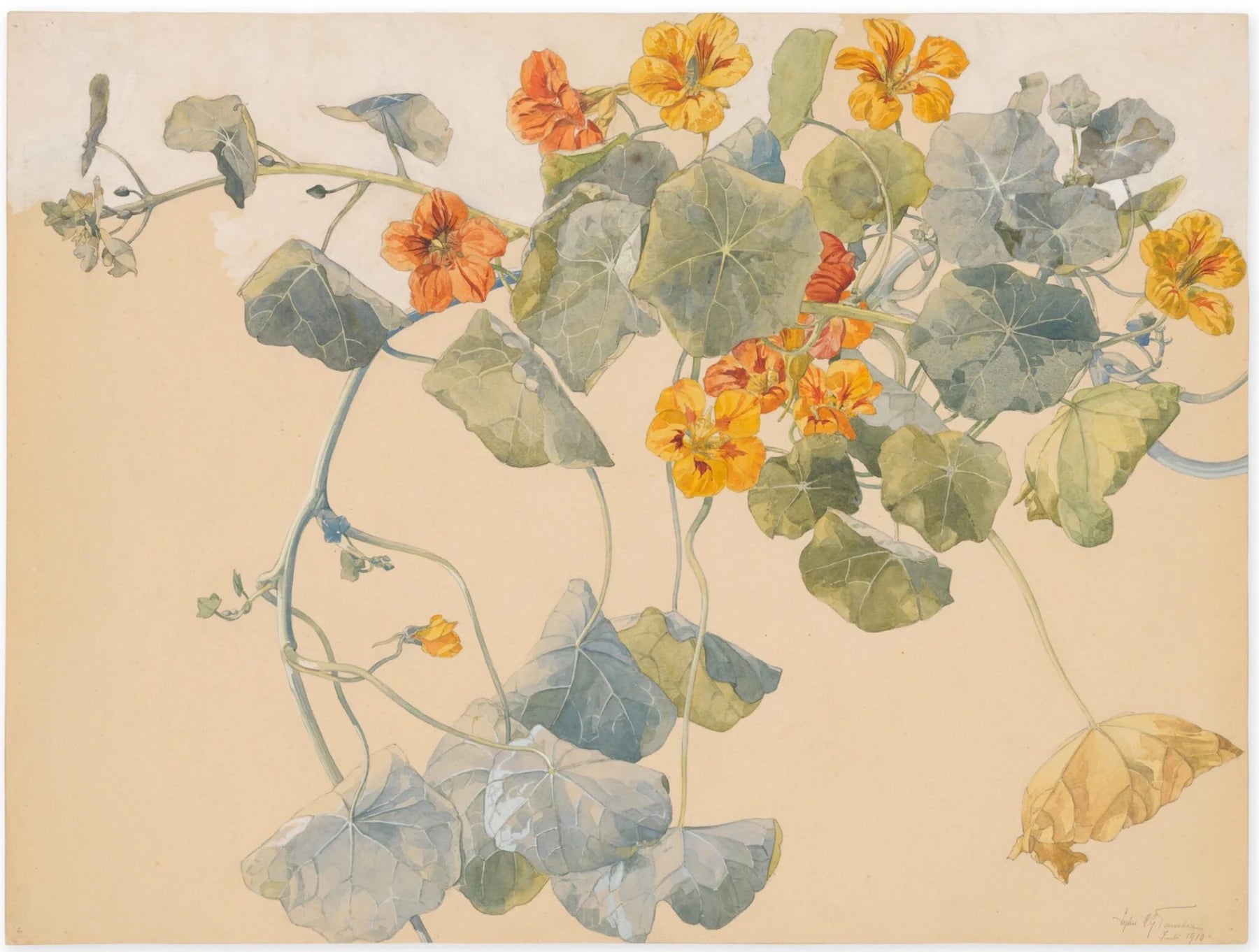 [Untitled (Nasturtium flowers)], peinture de Sophie Taeuber-Arp