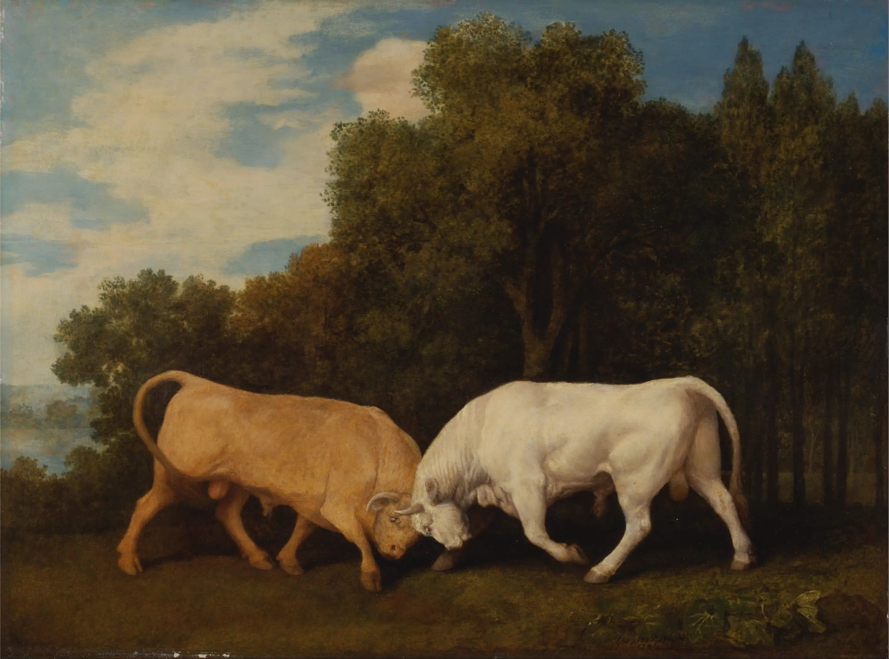 Taureaux - George Stubbs - Alpha Reproduction
