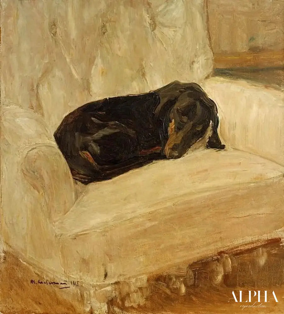 Teckel endormi dans un fauteuil - Max Liebermann - Reproductions de tableaux et peintures haut de gamme