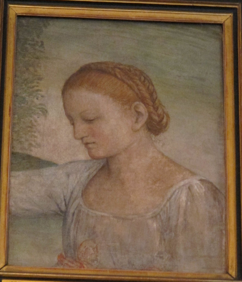 ראש של ילדה - ברנרדו לואיני