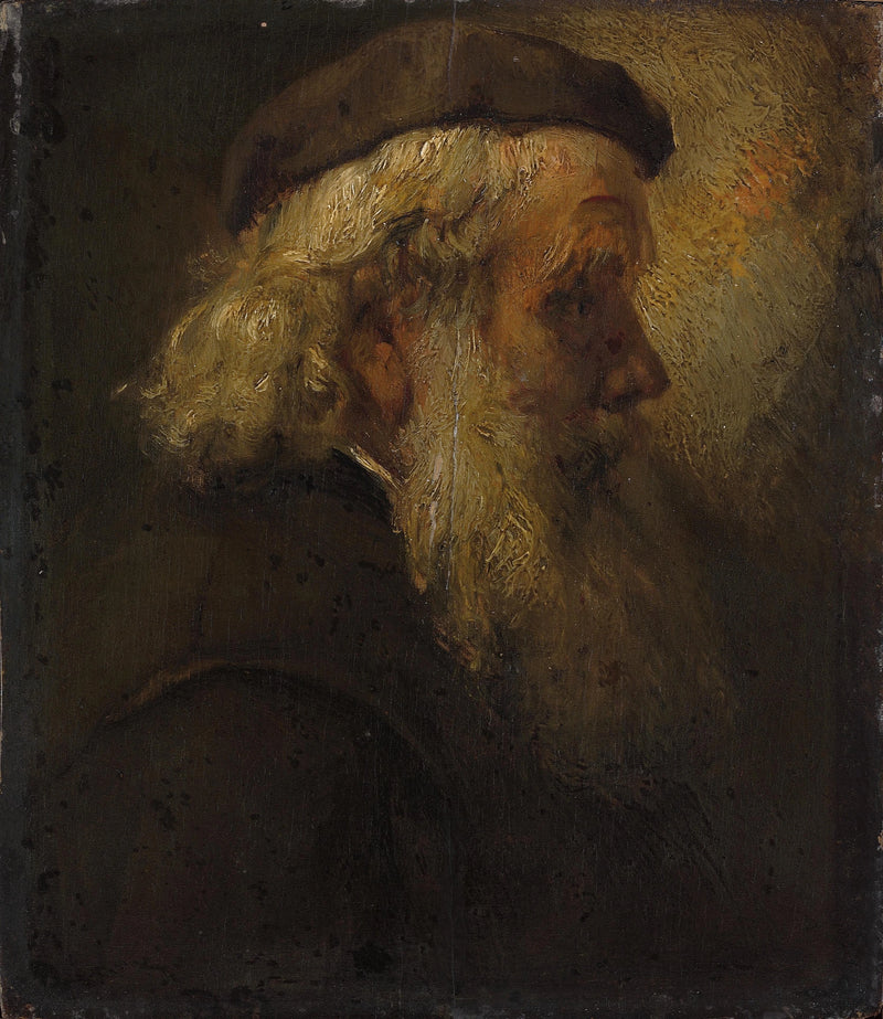 ראשו של זקן מזוקן - רמברנדט