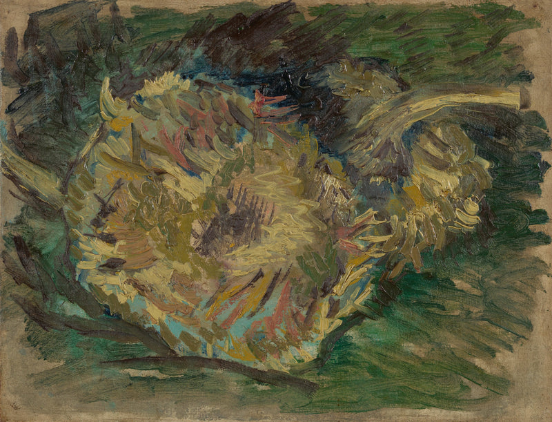 חמניות עם זרעים - Vincent van Gogh