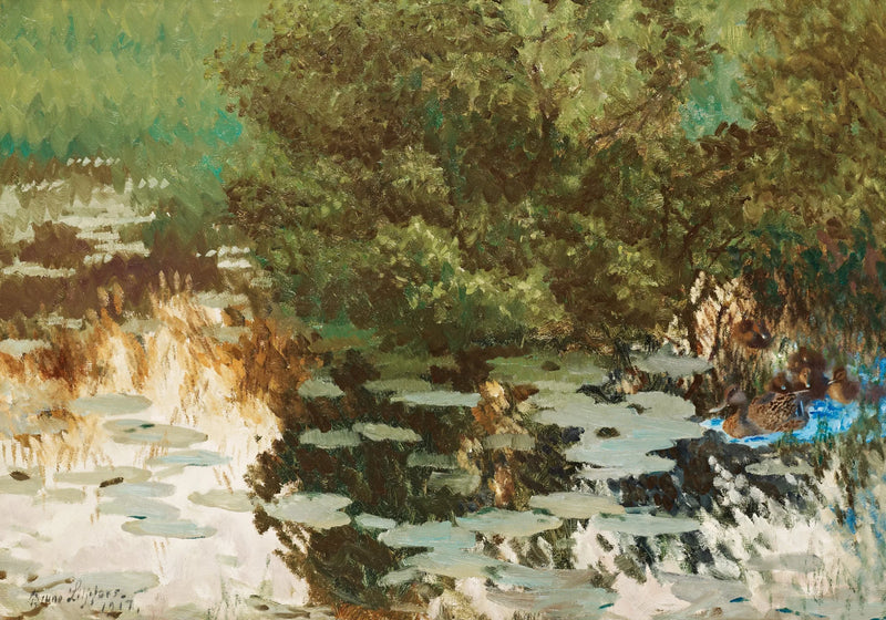 משפחת ברווזים בין חבצלות המים. - ברונו ליליפורס