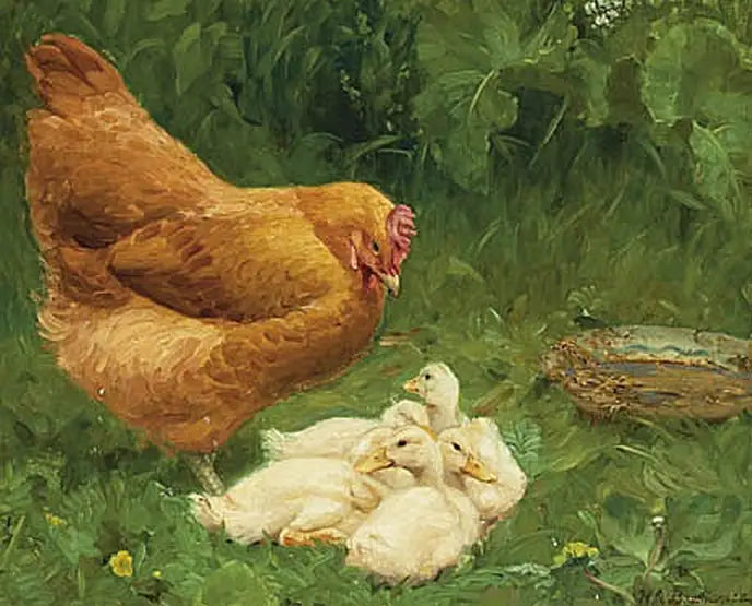Une poule et quelques canetons. - H. A. Brendekilde - Alpha Reproduction
