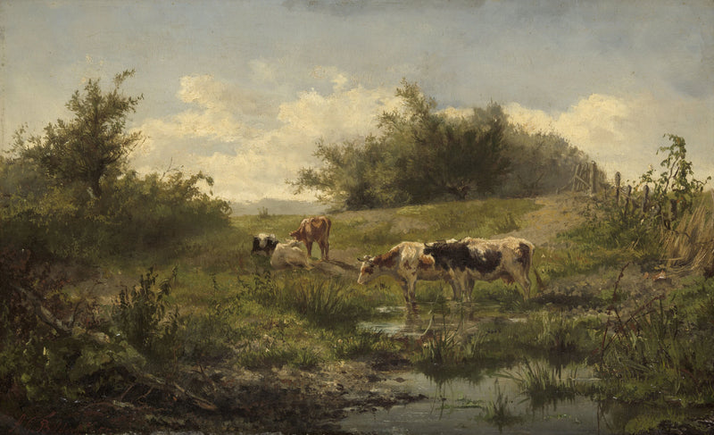 Vaches près d'une flaque d'eau - Gerard Bilders