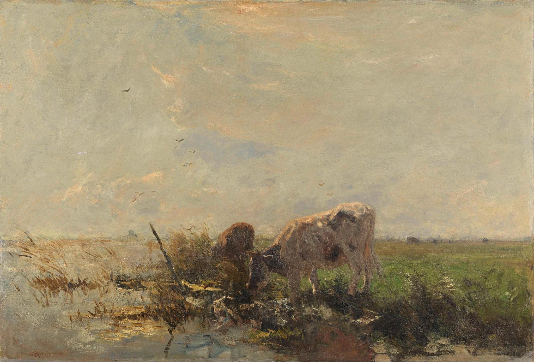 Vaches près d'une flaque d'eau - Willem Maris