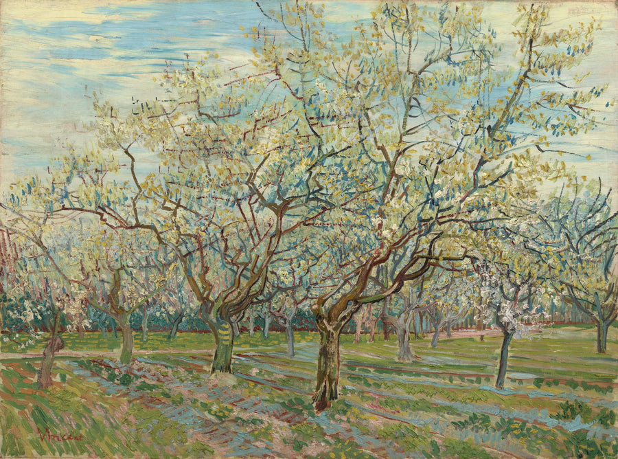 הפרדס הלבן - Vincent van Gogh
