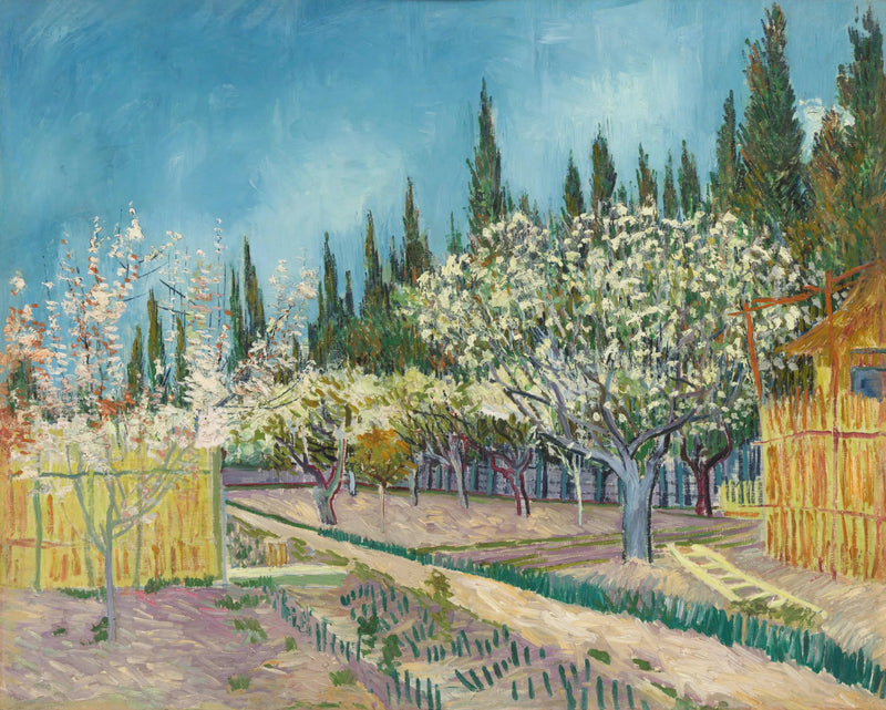 פרדס פורח, מוקף ברושים - Vincent van Gogh