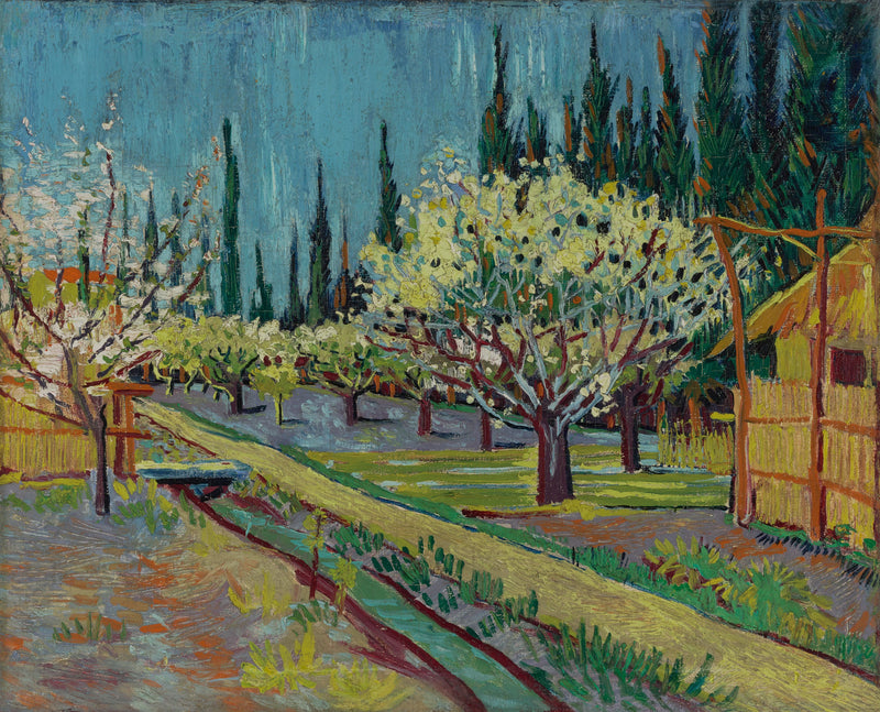 פרדס פורח, מוקף ברושים - Vincent van Gogh