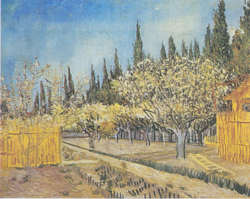 פרדס פורח, מוקף ברושים - Vincent van Gogh