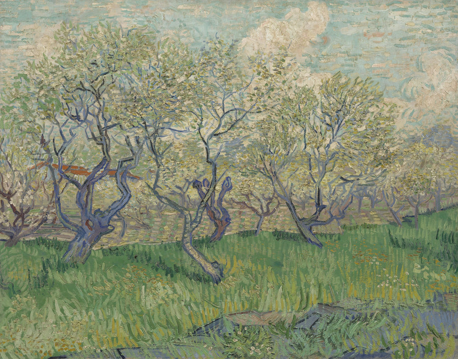 פרדס פורח - Vincent van Gogh
