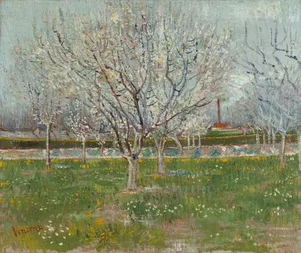 פרדס פורח - Vincent van Gogh