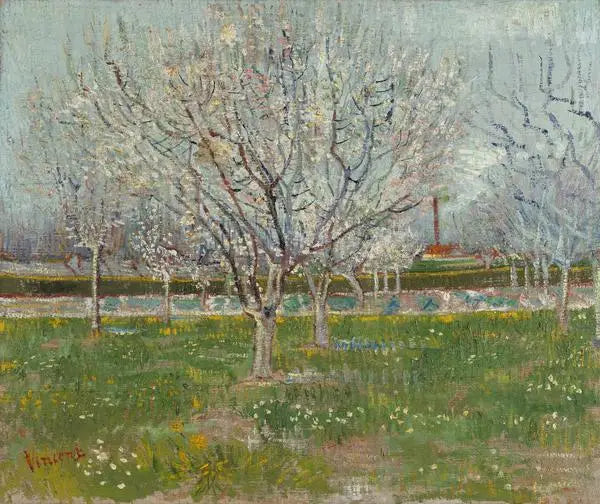 פרדס פורח - Vincent van Gogh