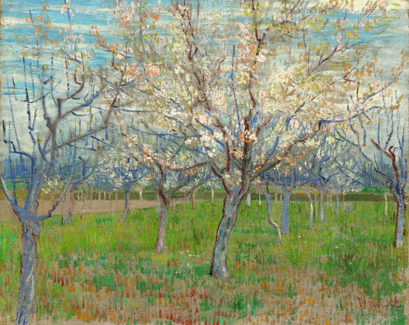 הפרדס הוורוד - Vincent van Gogh