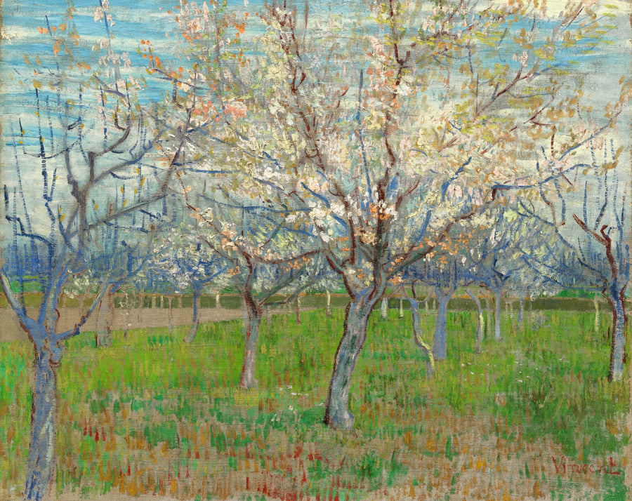 הפרדס הוורוד - Vincent van Gogh