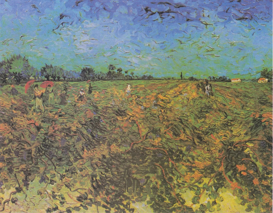 גפן ירוקה - Vincent van Gogh