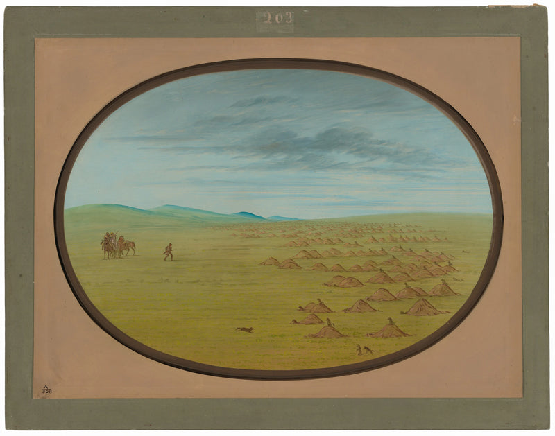 Village des chiens de prairie - George Catlin