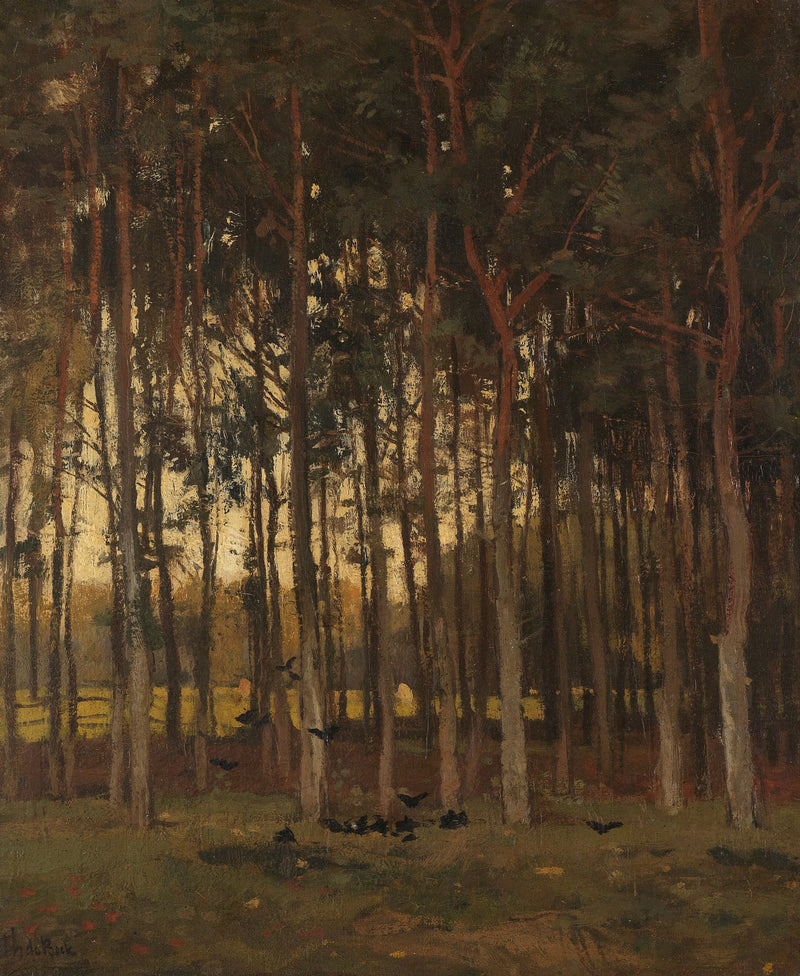 Vue sur la forêt - Théophile de Bock