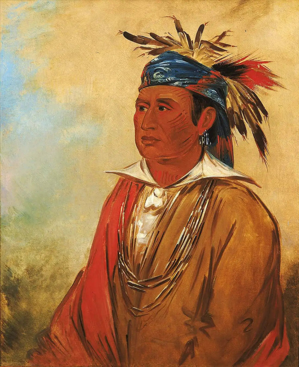 Wah-pón-jee-a, Le Cygne, un Guerrier - George Catlin image 1 copie peinte à la main à l’huile